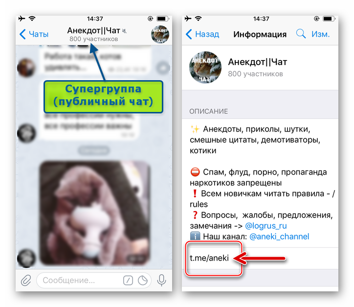 Telegram для iOS - ссылка на супергруппу (публичный чат) на экране Информация
